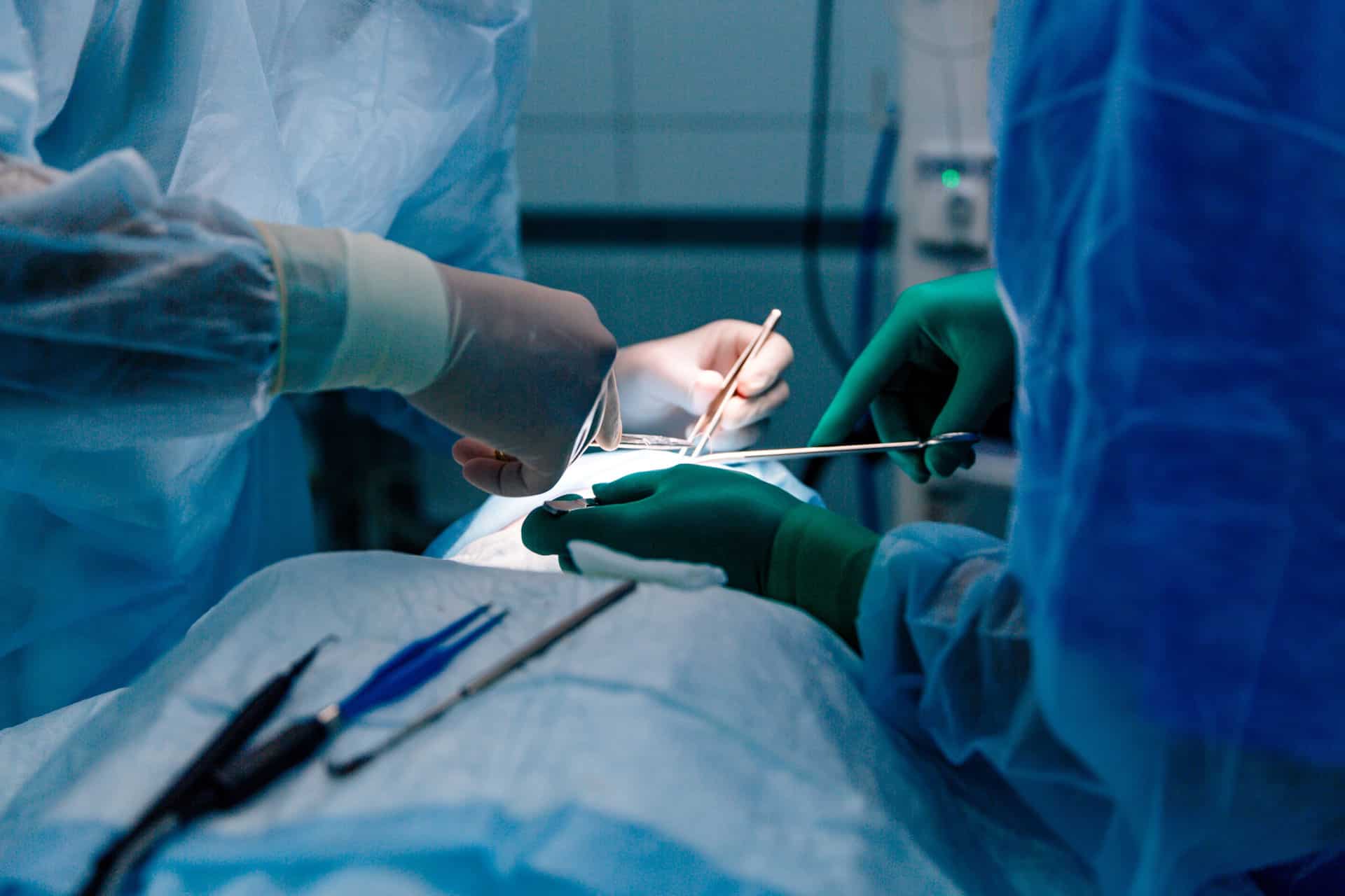 AdobeStock 255011218