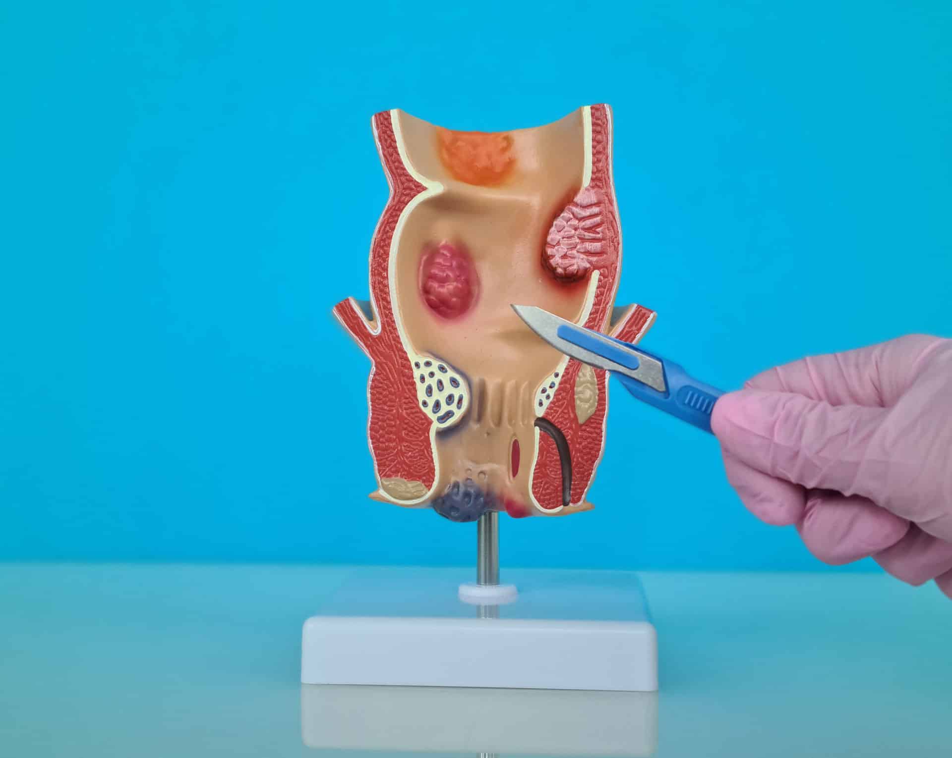 AdobeStock 593289527